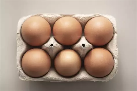 Oeuf 2.20 les 6
